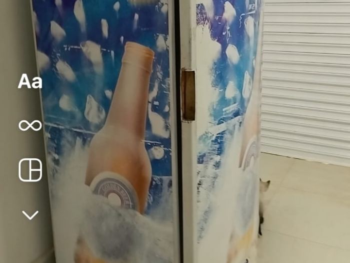 gallery-1